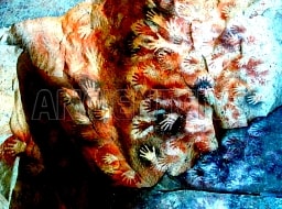 Культуры Патагонии